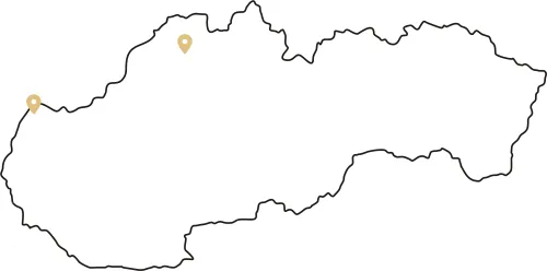 Estetická chirurgia nohy v SK