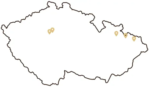 Estetická chirurgia nohy v ČR